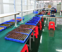 ������ò